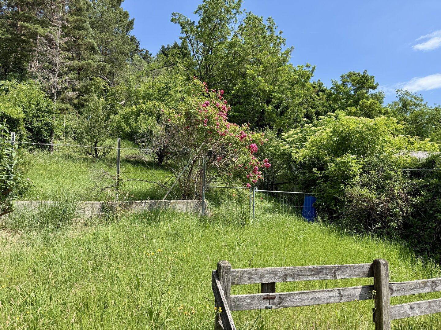 Grüner Gartenbereich mit einem Holzzaun und bewaldetem Hügel im Hintergrund.