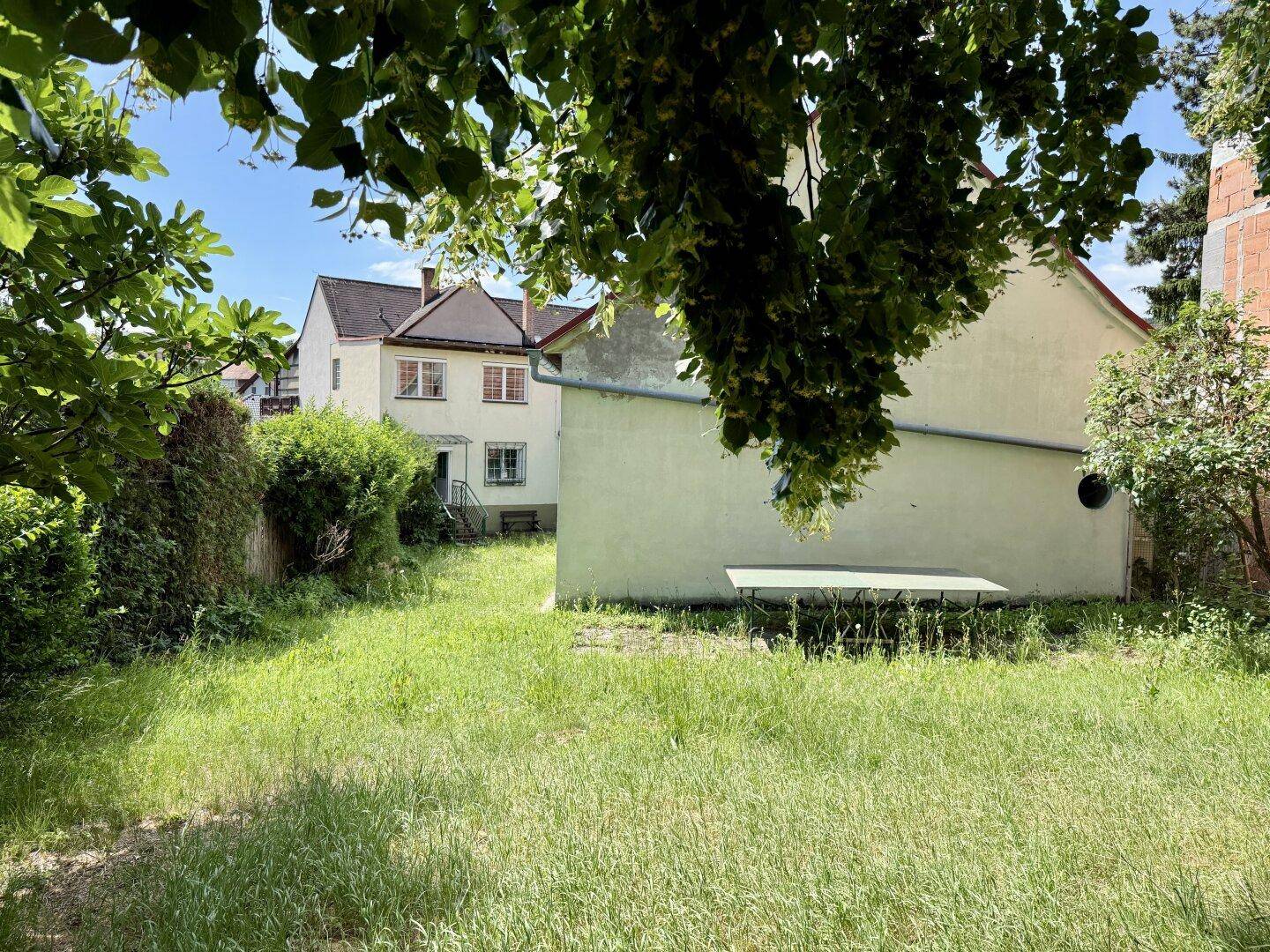 Großer, ungepflegter Gartenbereich neben dem Haus mit viel Grün und Bäumen im Hintergrund.