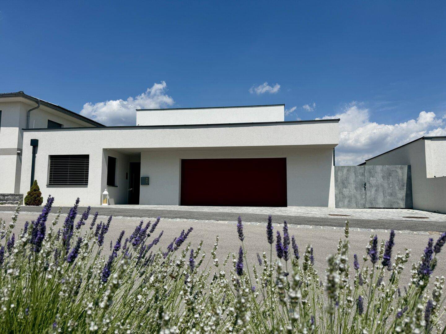 Moderne weiße Hausfassade mit rotem Garagentor und blühendem Lavendel im Vorgarten.