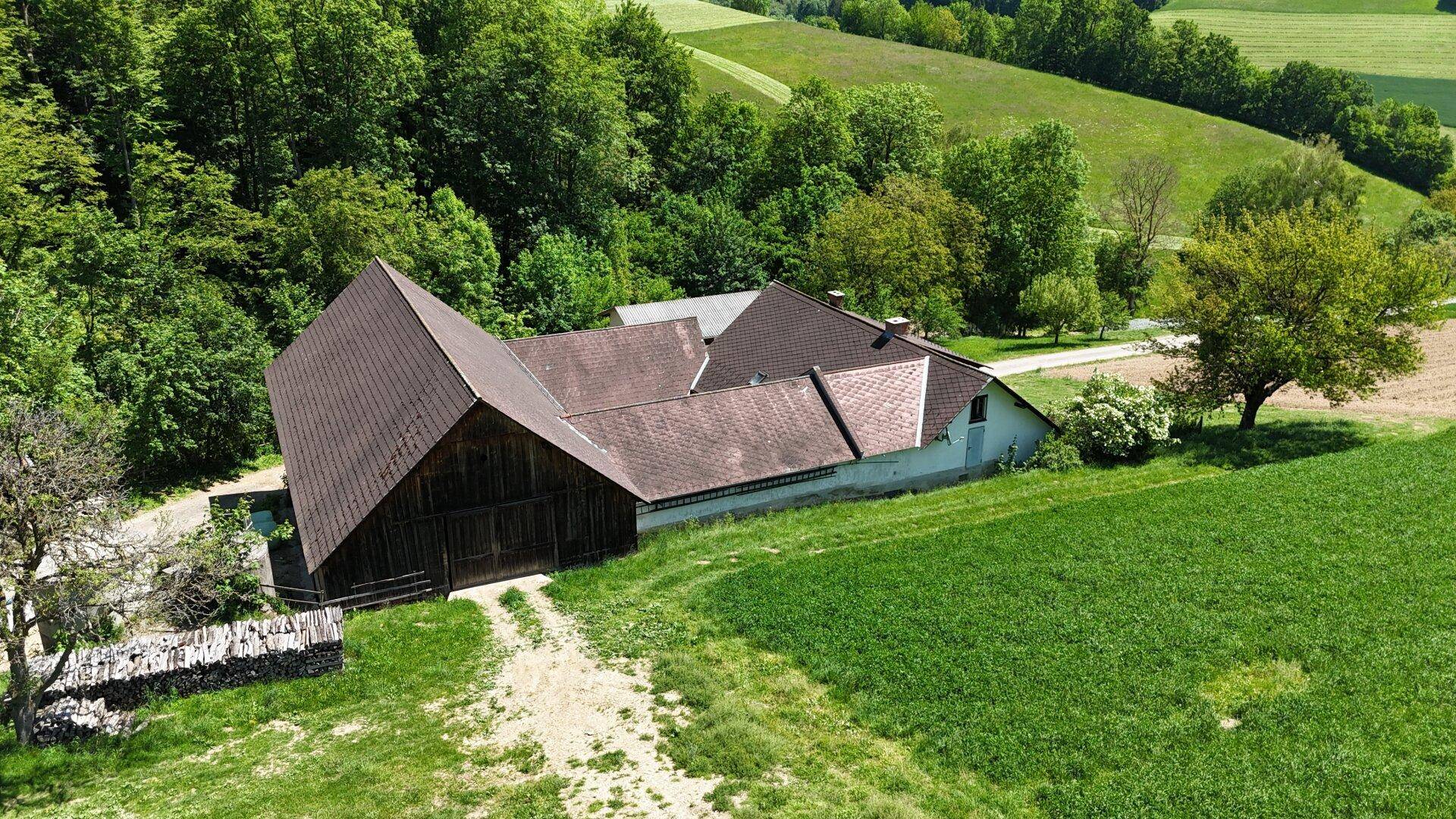 Panoramablick auf den Hof, eingebettet in die grüne Landschaft mit Wald und Ackerland.