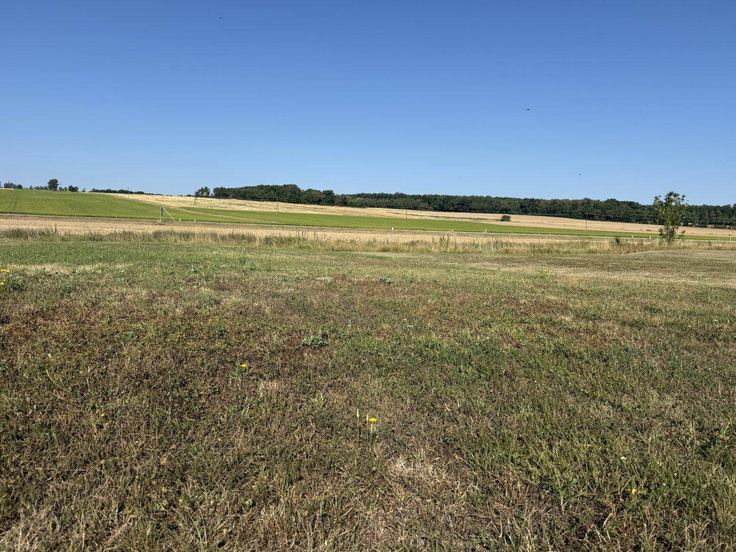 Unbebautes Grundstück mit Grasfläche und weitem Blick auf Felder und Waldränder unter klarem Himmel.