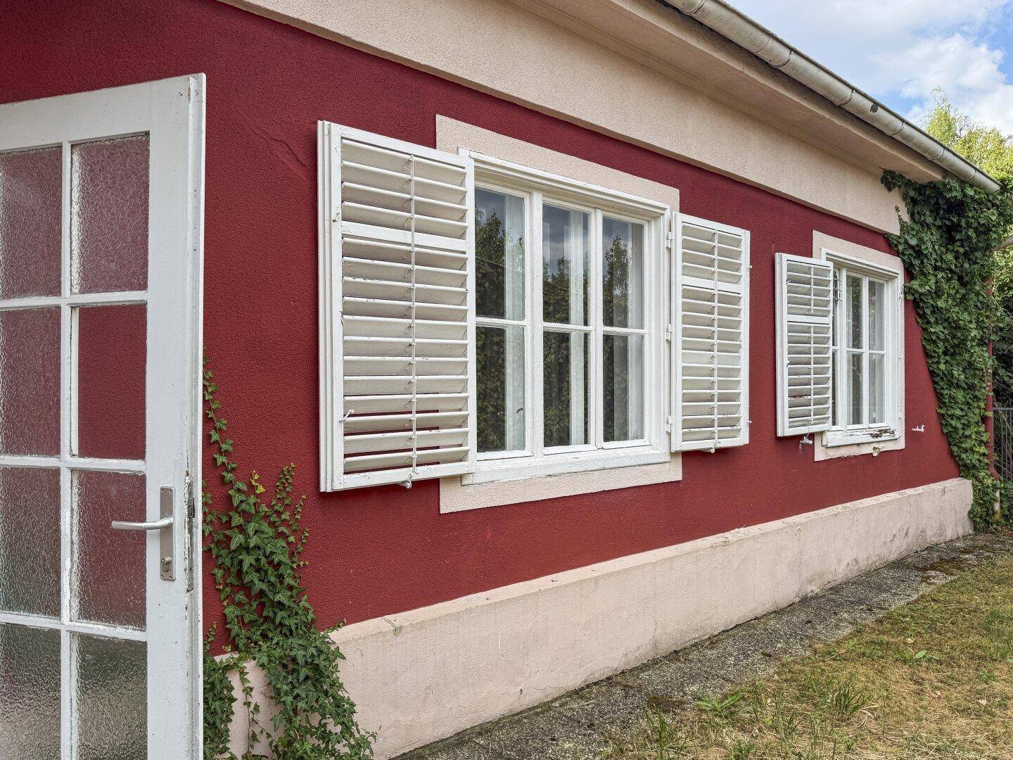 Nahaufnahme der weißen Fensterläden an der roten Hausfassade mit Efeubewuchs.