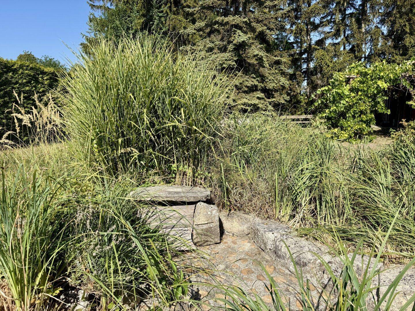 Slide 75