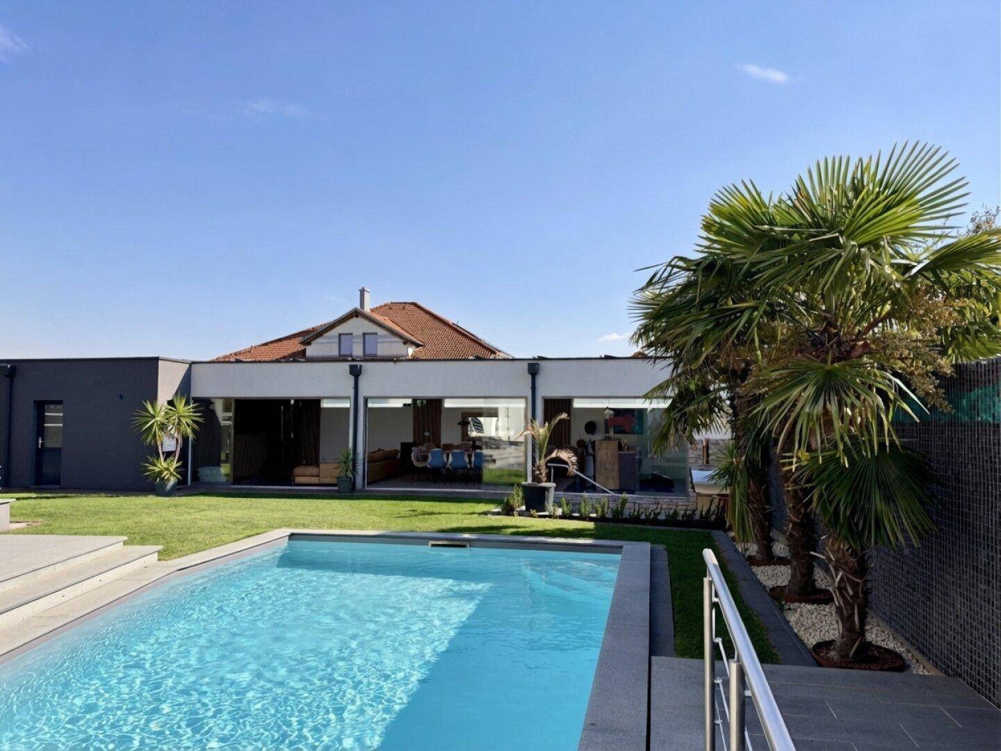 Garten mit Swimmingpool, Palmen und Blick auf die moderne Architektur des Hauses.
