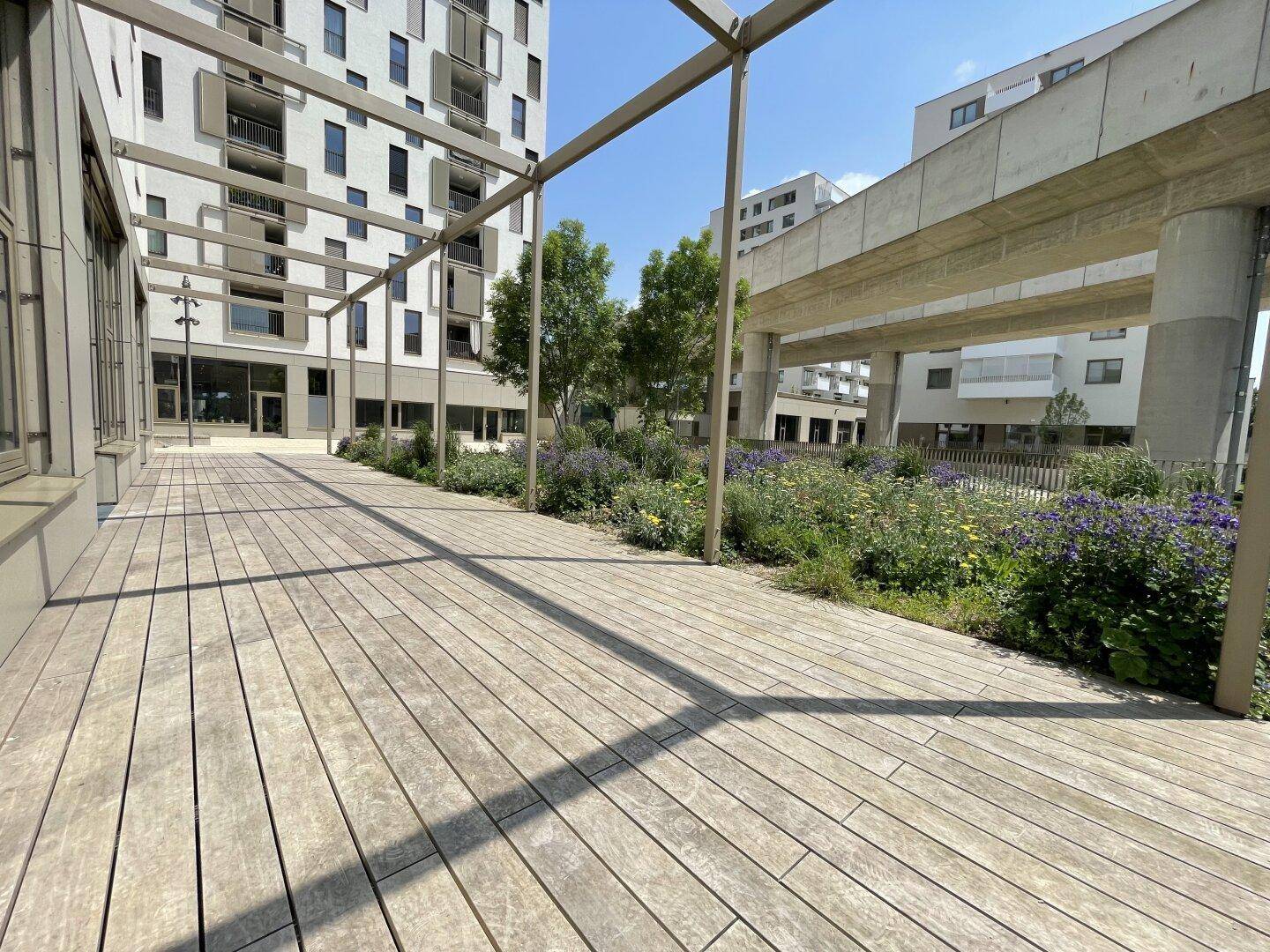 Weitläufige Holzterrasse mit Blick auf die moderne Architektur und den umliegenden Gartenbereich.