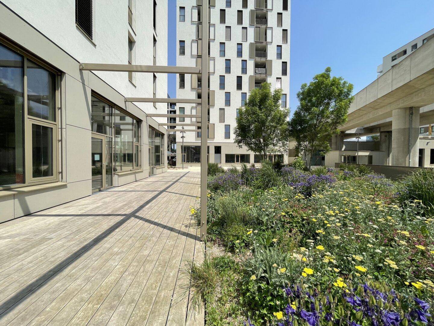 Sonnige Holzterrasse und blühender Gartenbereich vor der modernen Gebäudefassade.