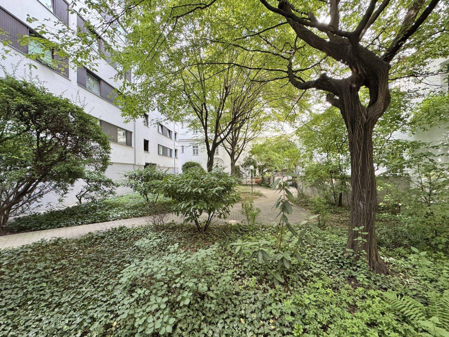 Idyllischer Gemeinschaftsgarten mit altem Baumbestand und üppiger Vegetation.