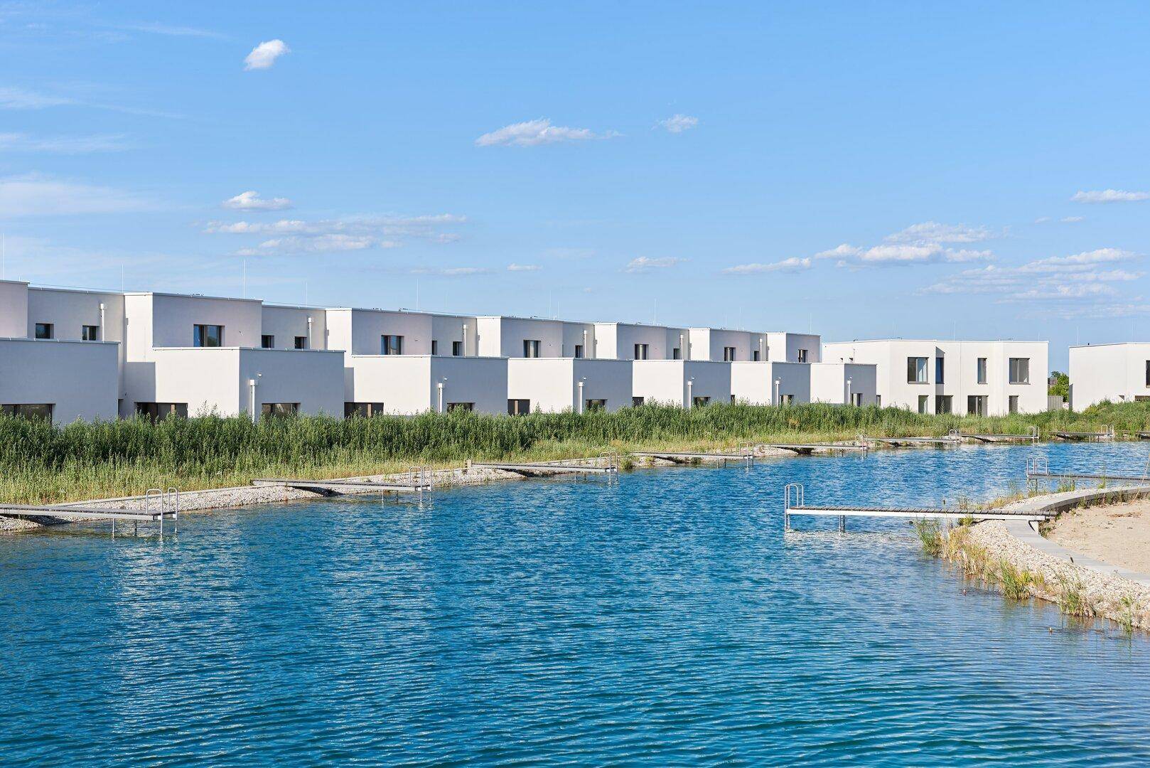 Reihe von modernen weißen Häusern entlang einer ruhigen Wasserfläche mit Schilf.