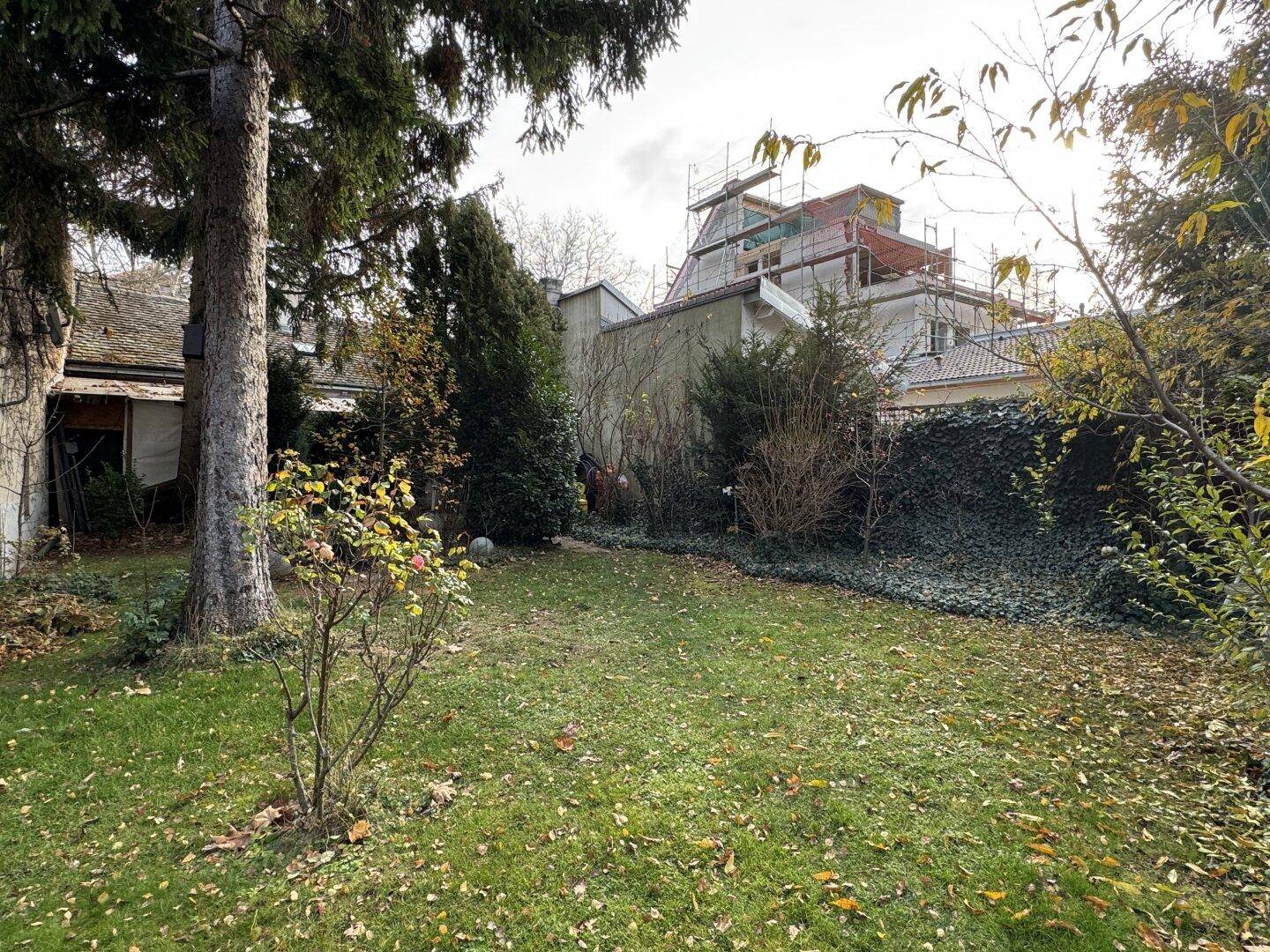 Gepflegter Gartenbereich mit Rasenfläche und altem Baumbestand, im Hintergrund ein Gebäude mit Gerüst.