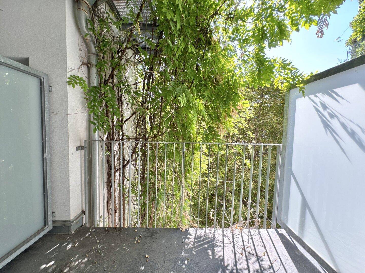Kleiner Balkon mit üppigem Grün und Metallgeländer, bietet einen ruhigen Außenbereich.