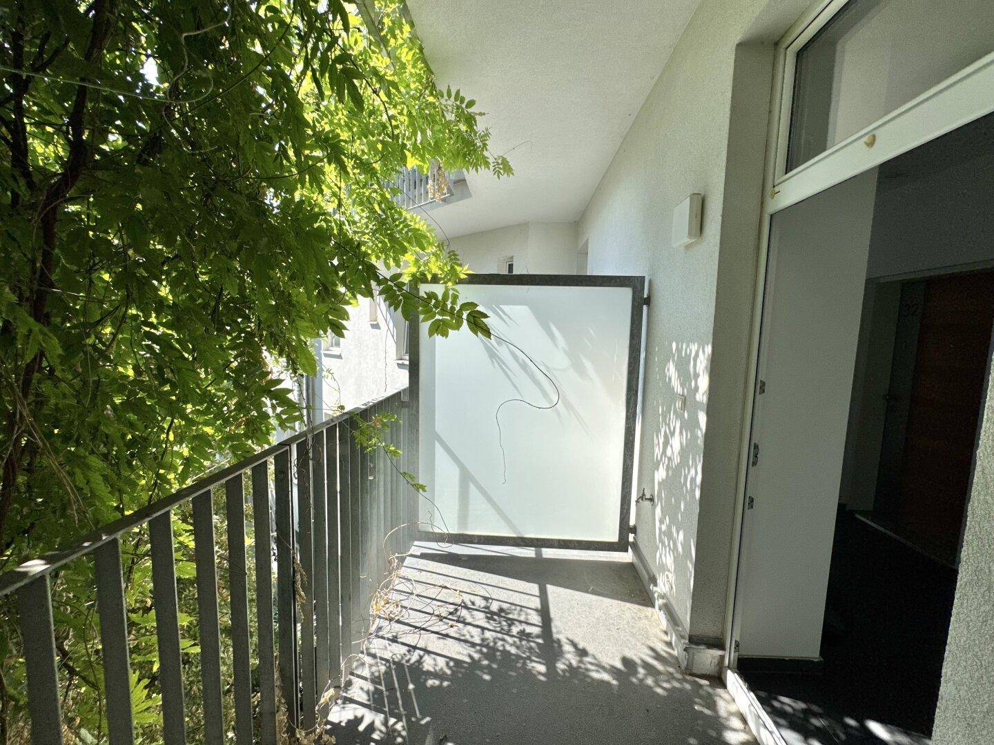 Langer Balkon mit Blick ins Grüne und Milchglas-Sichtschutz, ideal zum Entspannen.