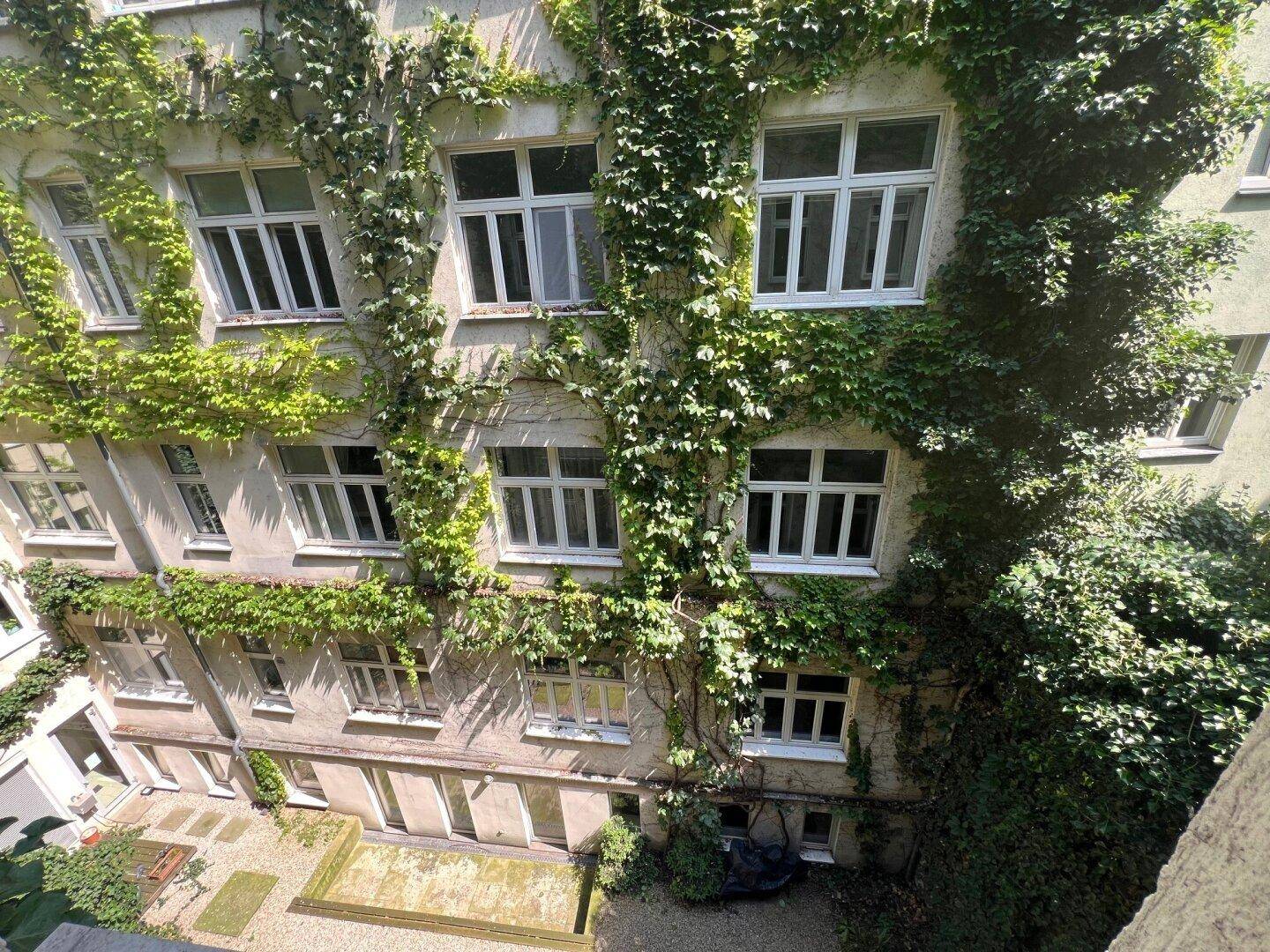 Begrünter Innenhof mit Efeu an der Fassade und Blick auf die umliegenden Fenster.