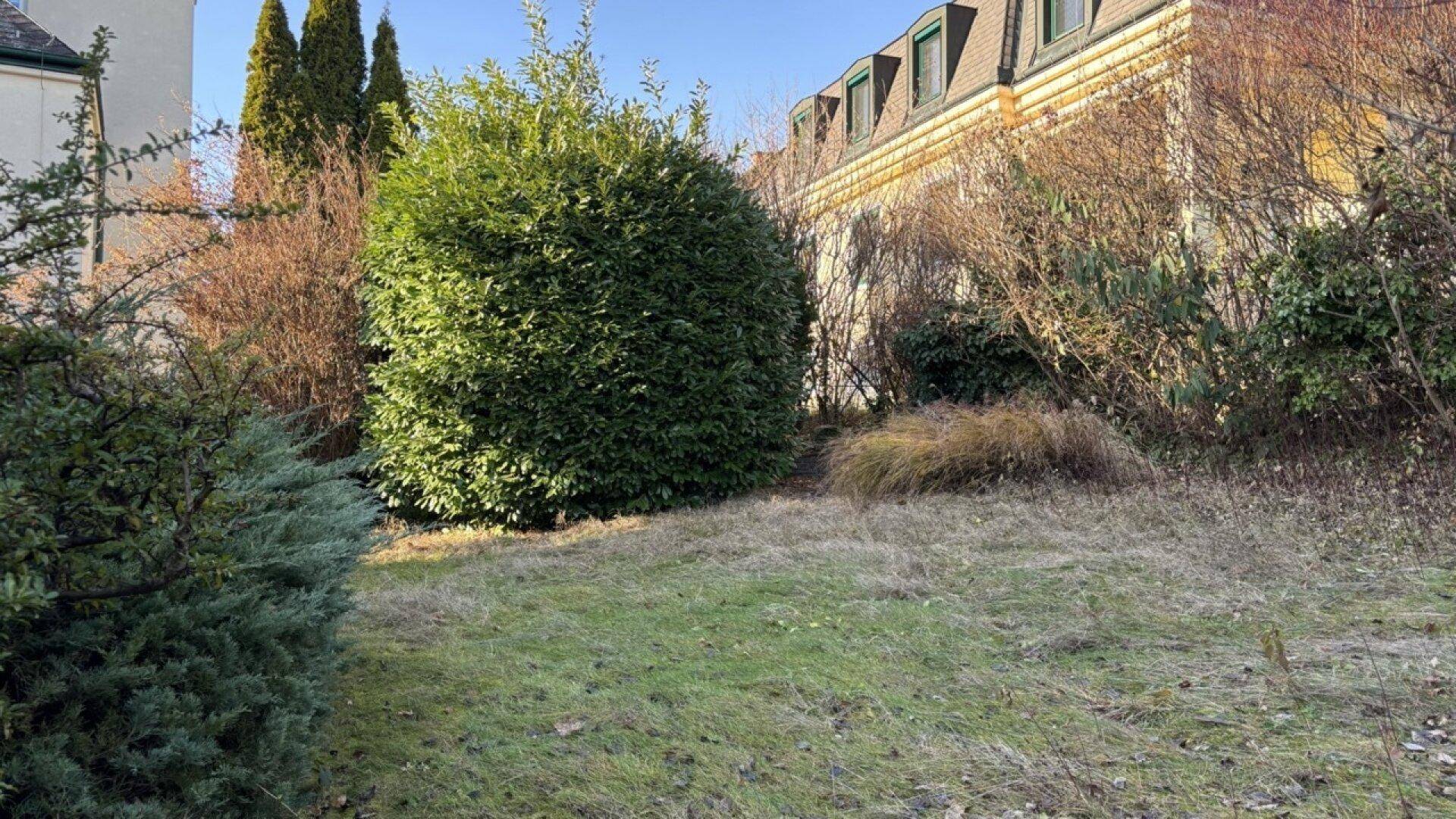 Gartenbereich mit verschiedenen Sträuchern und Rasenfläche, im Hintergrund ein weiteres Gebäude.