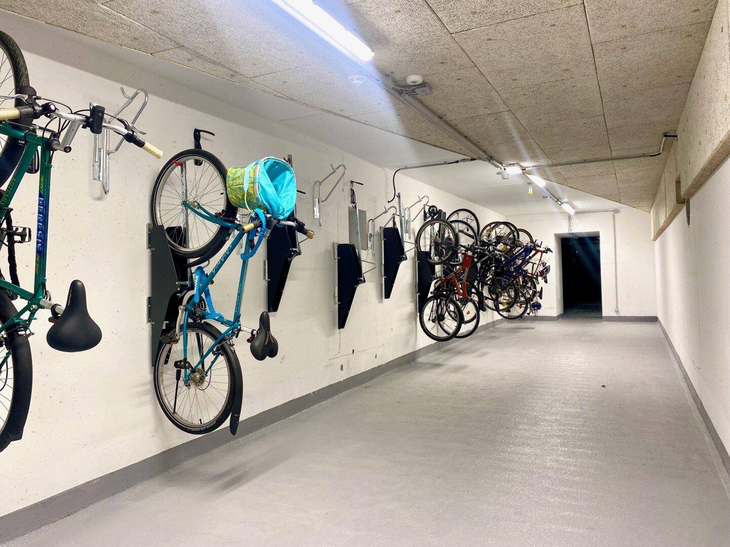 Geräumiger Fahrradraum mit Wandhalterungen für mehrere Fahrräder, gut beleuchtet.