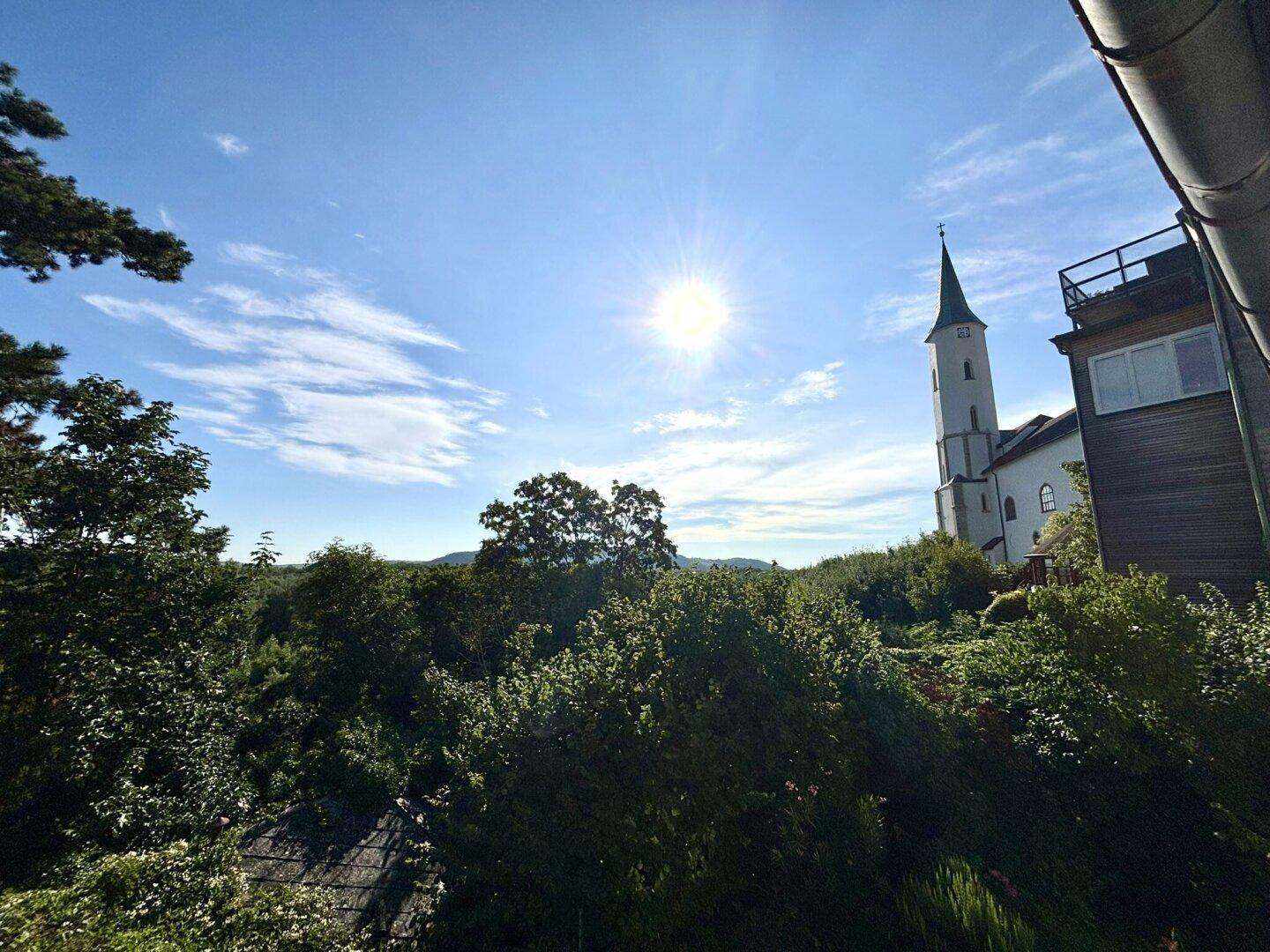 Sonniger Ausblick über grüne Baumwipfel mit einer Kirche im Hintergrund.