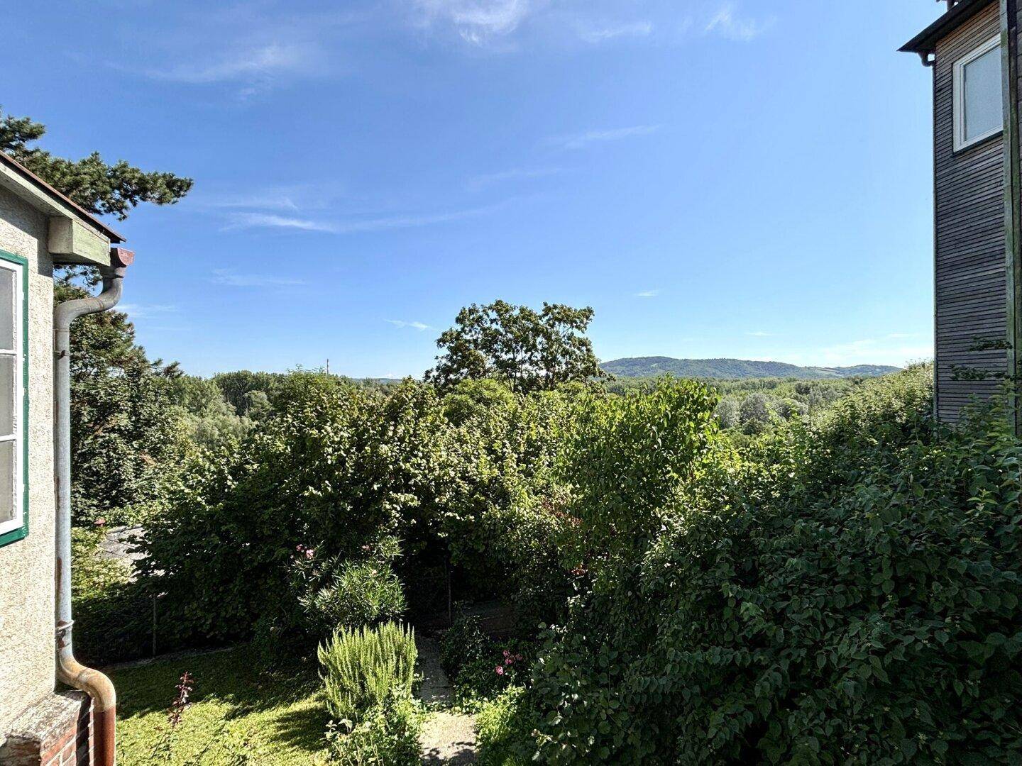 Weitläufiger Blick über eine grüne Landschaft mit Bäumen und Hügeln unter blauem Himmel.