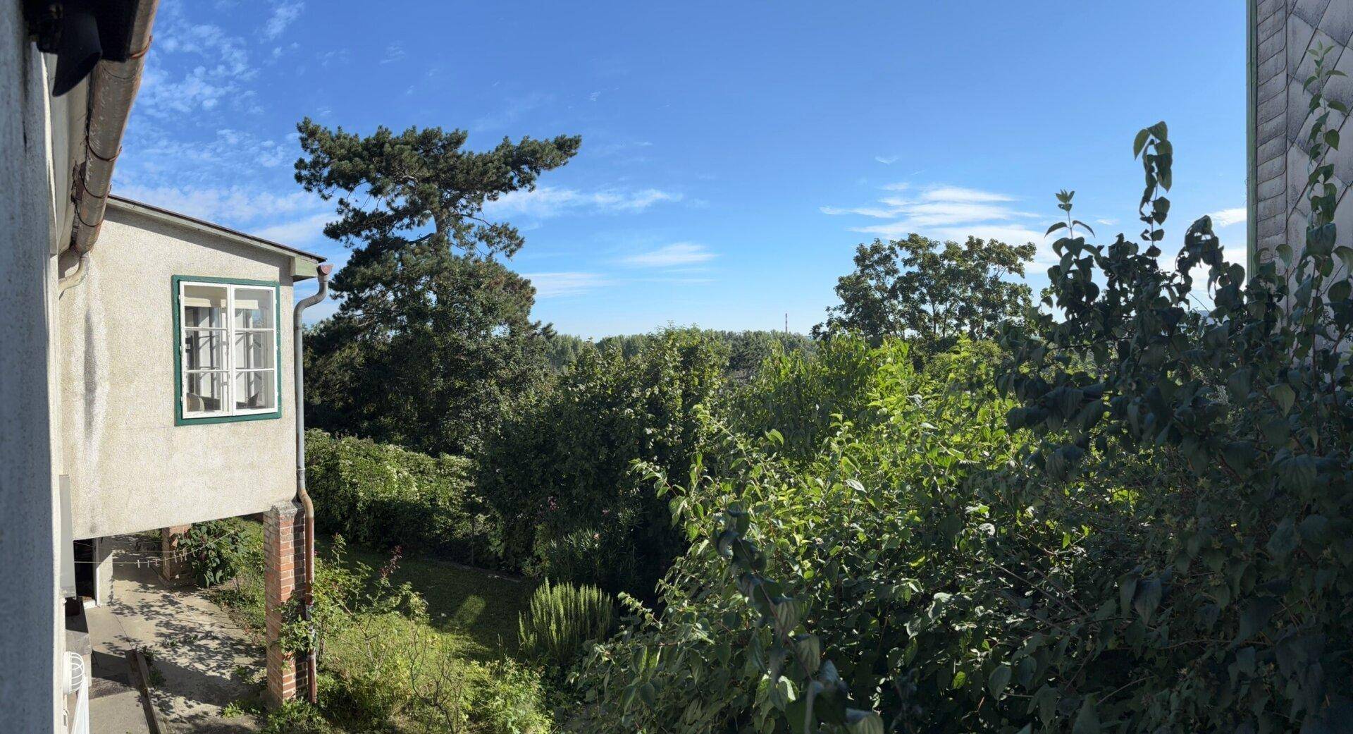 Panoramablick auf die umliegende grüne Natur und den blauen Himmel von der Immobilie aus.