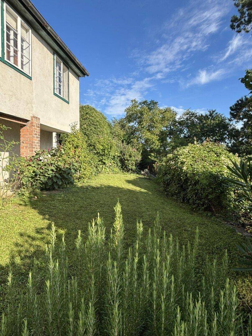 Gepflegter Rasenbereich im Garten mit hohen Pflanzen und einem Teil der Hausfassade.