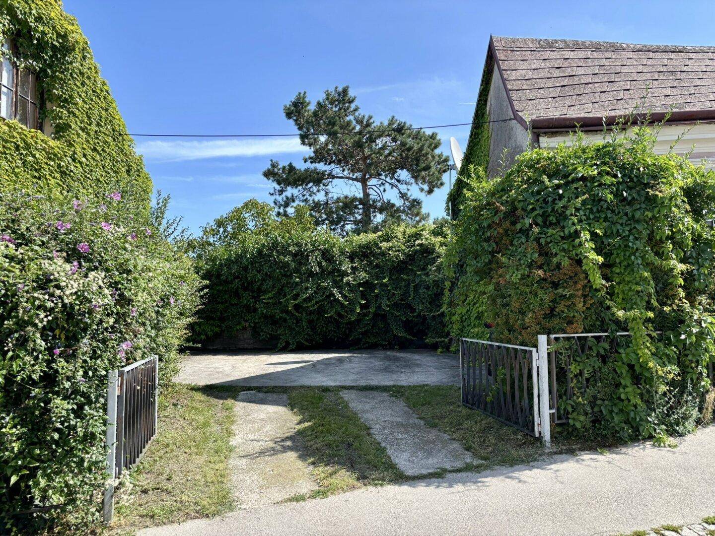 Einfahrt zum Grundstück mit befestigtem Bereich und üppiger Begrünung an den Seiten.
