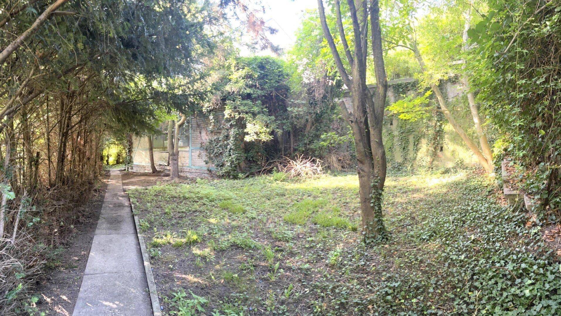 Verwunschener Gartenbereich mit altem Baumbestand und einem schmalen Weg.