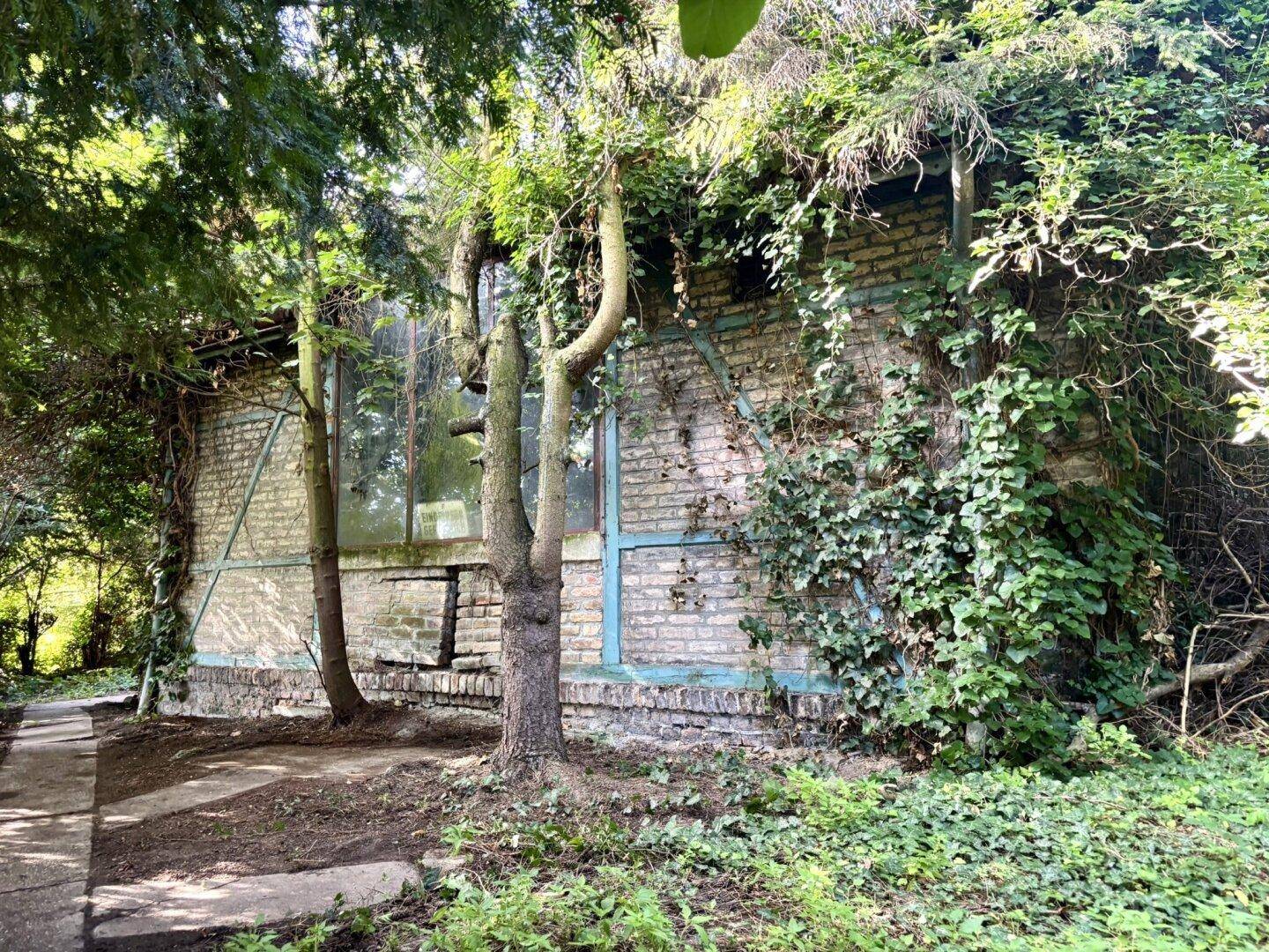 Altes Nebengebäude im Garten, teilweise von Efeu bewachsen, umgeben von Bäumen.