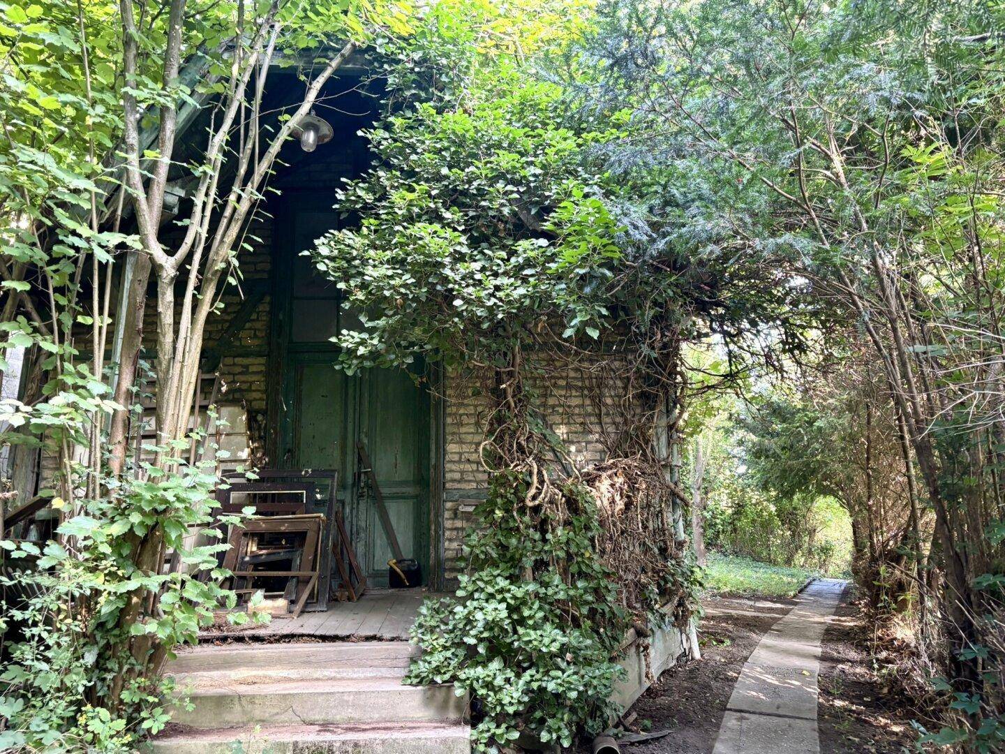 Eingang zu einem alten, von Pflanzen überwucherten Nebengebäude im grünen Garten.