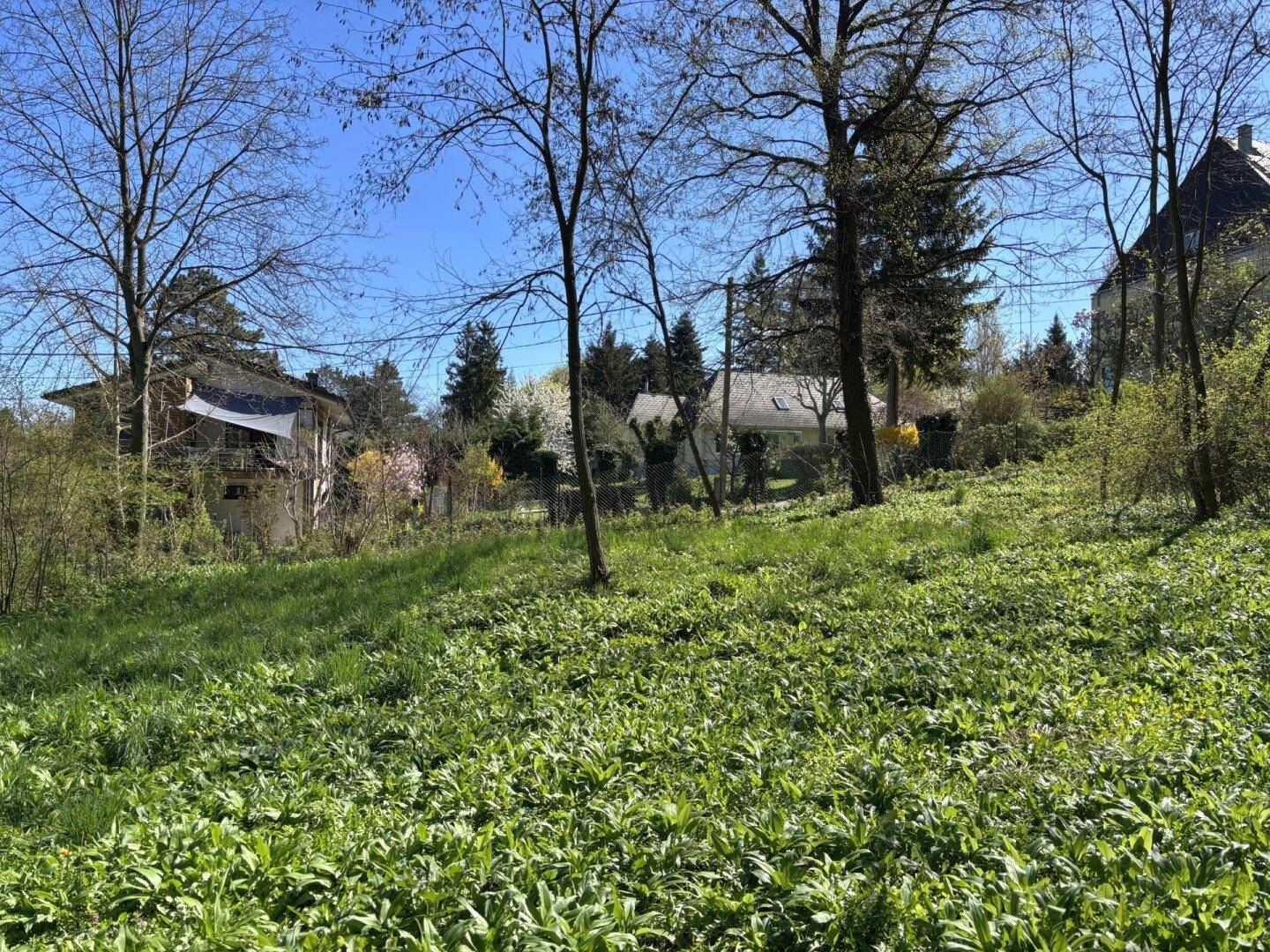 Weitläufiges Gartengrundstück mit Wiese und Blick auf benachbarte Wohnhäuser.