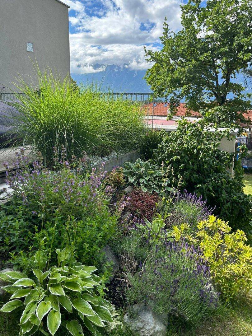 Gepflegter Garten mit vielfältigen Pflanzen und Blumen, der einen schönen Bergblick bietet.