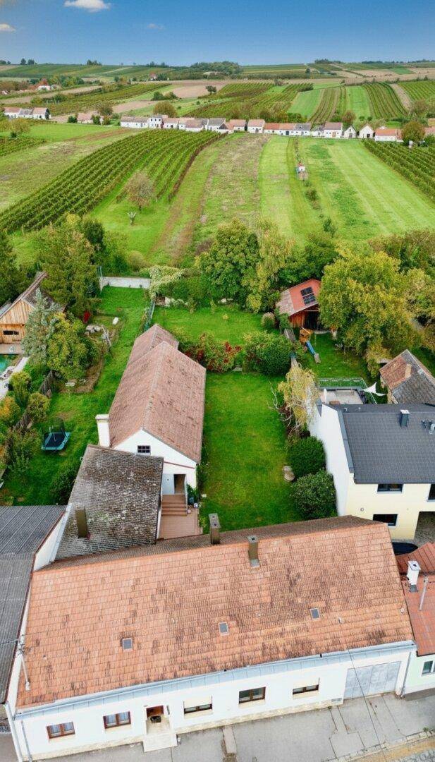 GROSSZÜGIG WOHNEN im WEINVIERTEL nur einen Sprung nach WOLKERSDORF oder nach WIEN!! - Ansicht 3