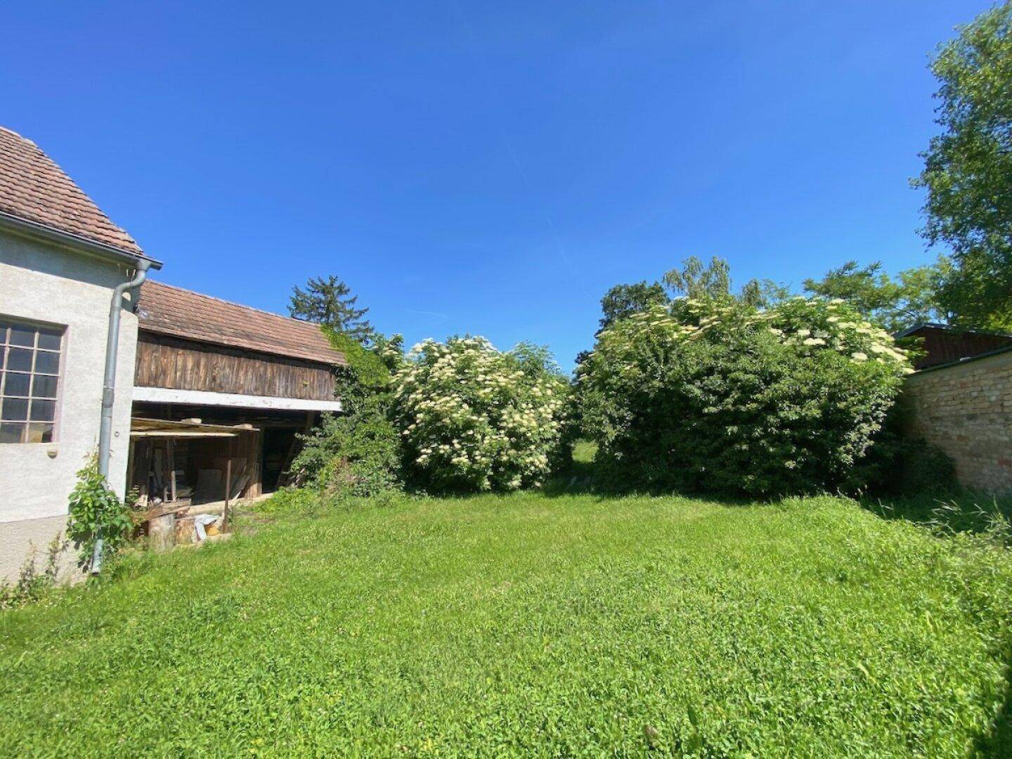 Weitläufiger Garten mit üppiger Vegetation, blühenden Sträuchern und Bäumen.