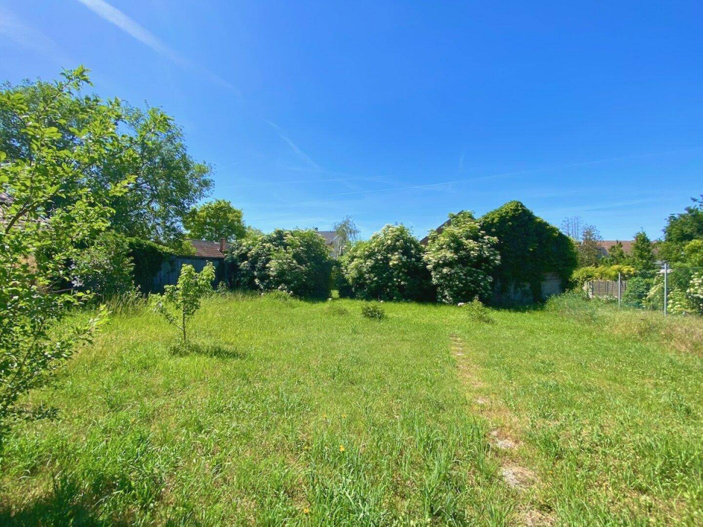 Weitläufiger, naturbelassener Gartenbereich mit üppigem Grün und alten Bäumen unter blauem Himmel.