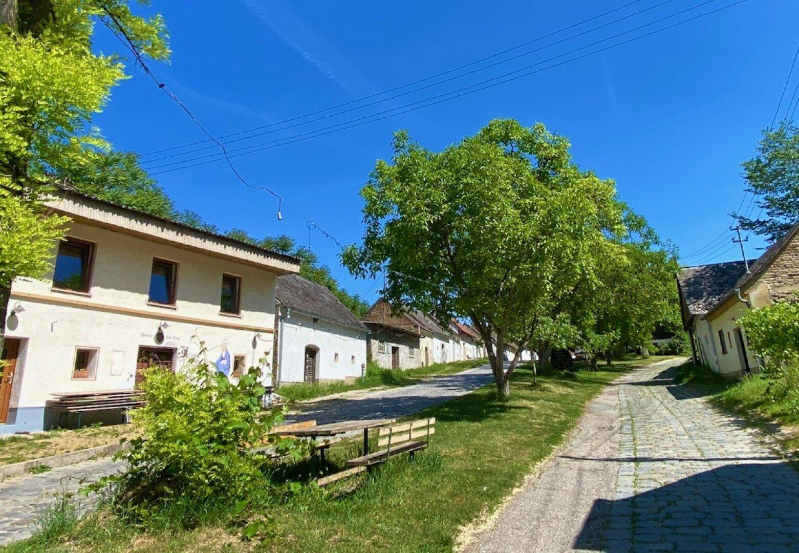 Historische Dorfstraße mit Kopfsteinpflaster, alten Häusern und schattenspendenden Bäumen an einem sonnigen Tag.