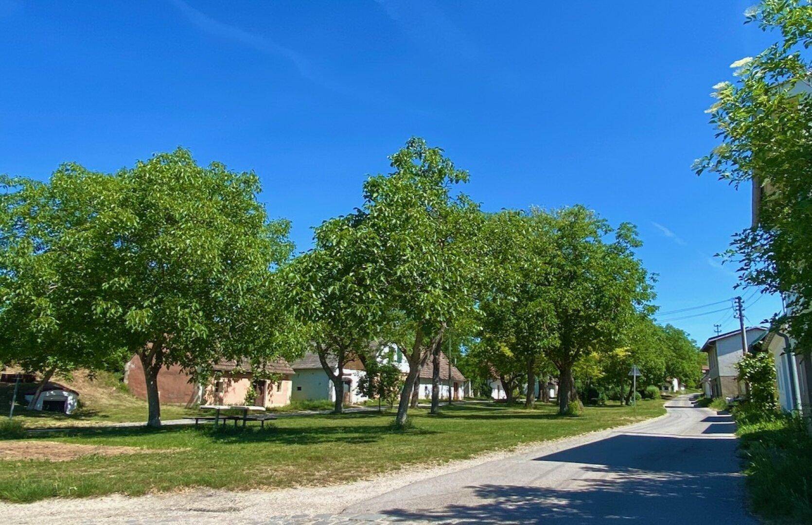 Ruhige Dorfstraße mit gepflegten Grünflächen und einer Reihe von Bäumen, die Schatten spenden.