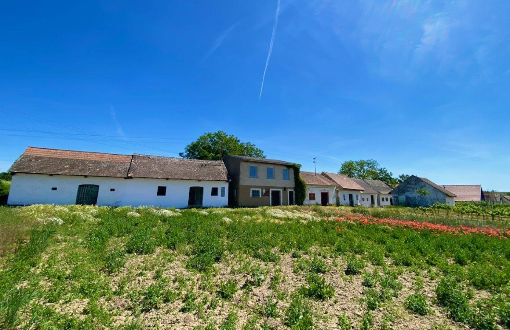 Reihe traditioneller ländlicher Gebäude mit Feldern im Vordergrund unter einem strahlend blauen Himmel.