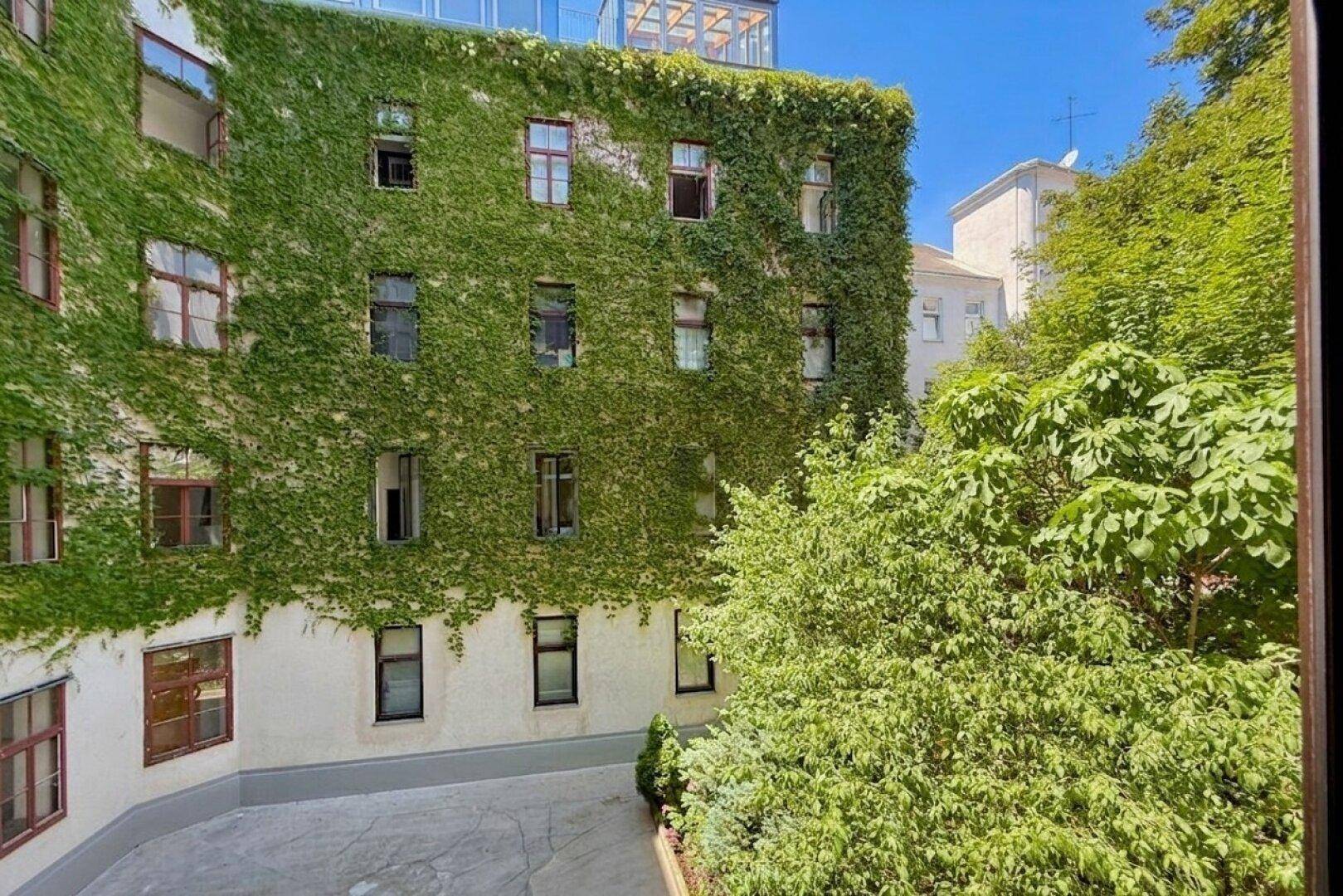Grüne Fassade eines Gebäudes, vollständig mit Efeu bewachsen, im Innenhof gelegen.