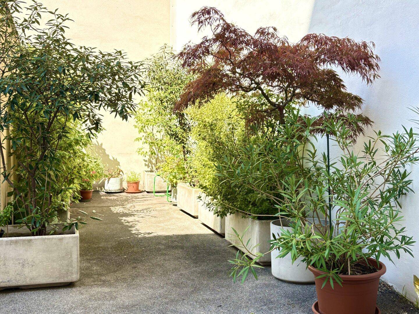 Begrünter Innenhof mit verschiedenen Pflanzen in Töpfen und Beeten.