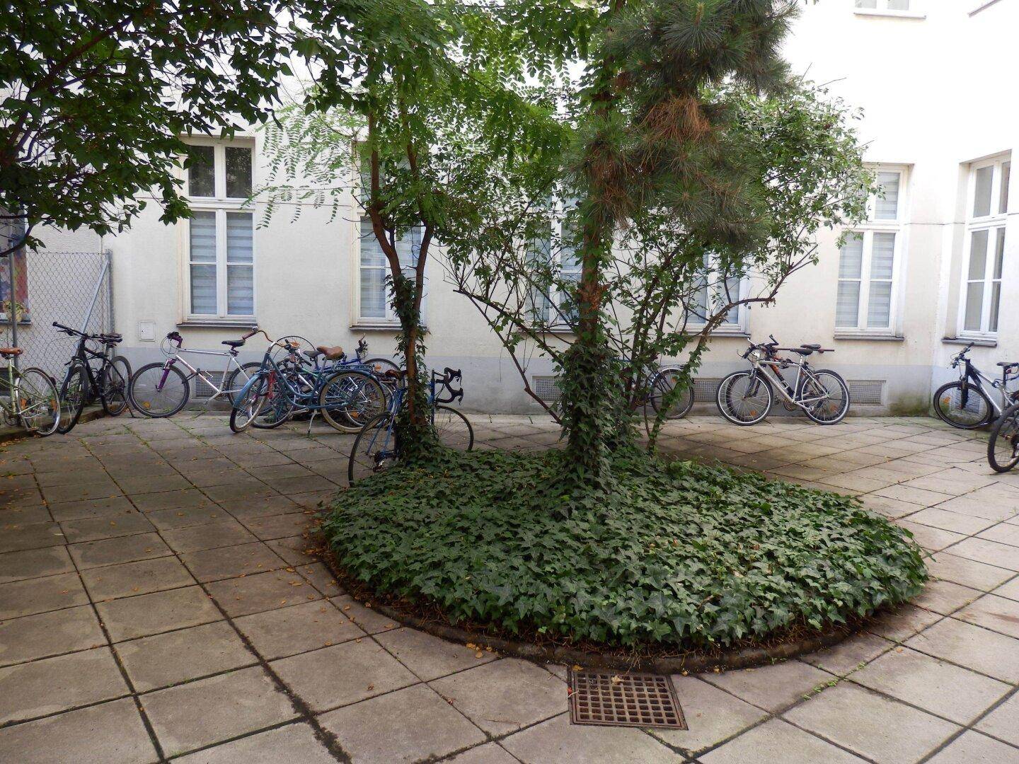 Begrünter Innenhof mit Fahrradstellplätzen und Bäumen, bietet einen ruhigen Außenbereich.