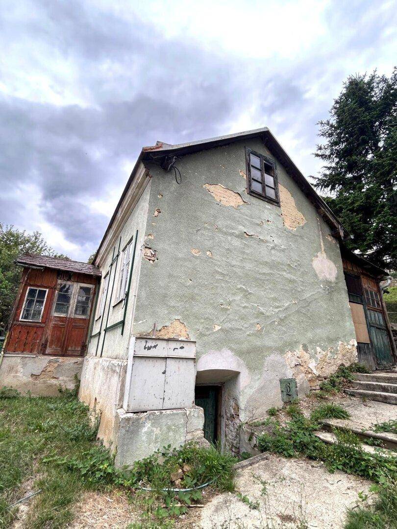 Rückansicht des alten Hauses mit verputzter Fassade und Zugang zum Keller.