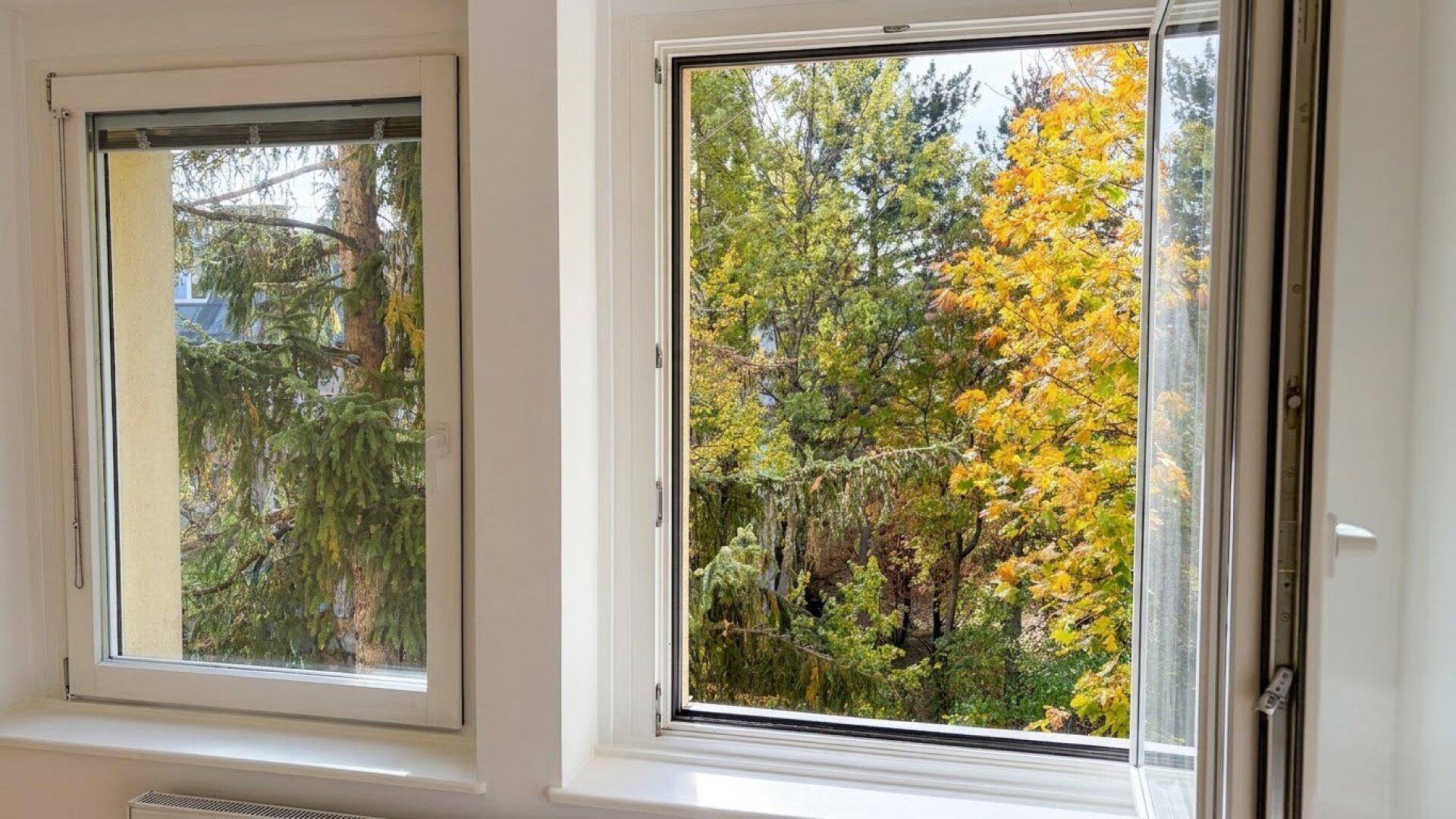 Zwei Fenster mit Blick auf herbstliche Bäume, die viel natürliches Licht in den Raum lassen.