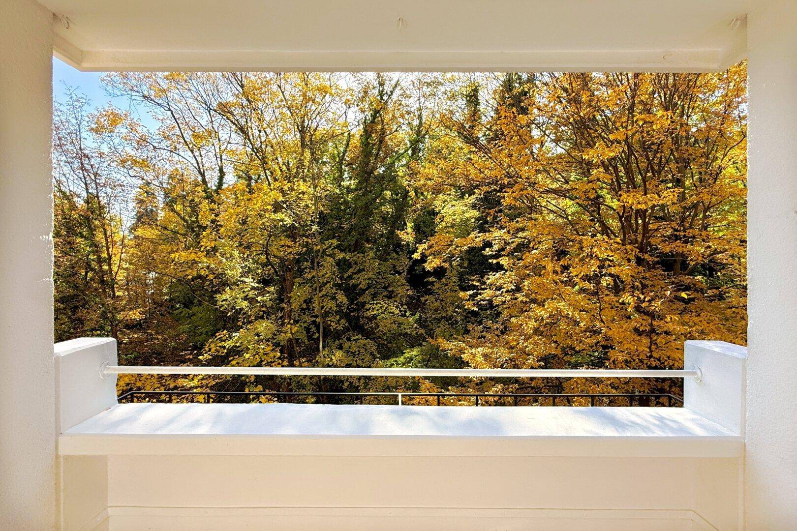 Panoramablick vom Balkon auf die farbenprächtigen Herbstbäume und die grüne Umgebung.