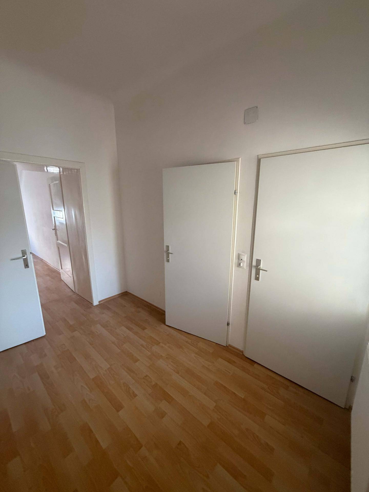 Heller Flur mit Laminatboden und mehreren weißen Türen zu angrenzenden Zimmern.