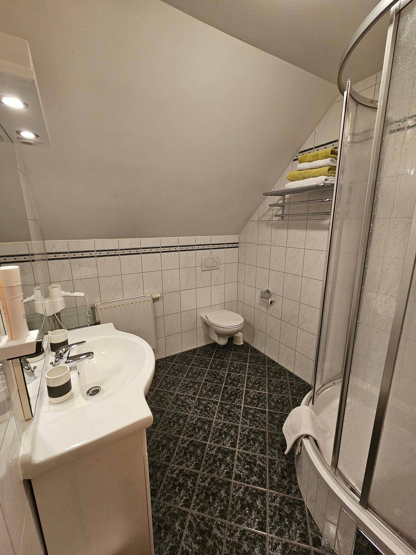 Badezimmer mit Duschkabine, Waschbecken, Toilette und dunklen Fliesenböden unter einer Dachschräge.