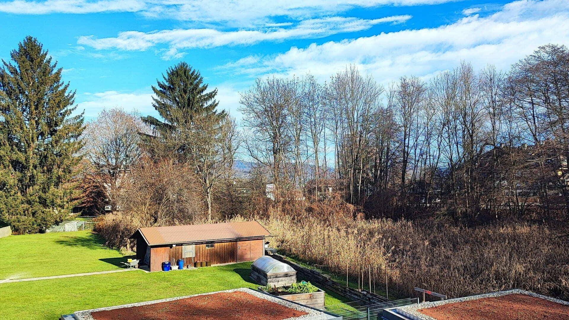 Blick auf eine grüne Wiese mit einem kleinen Schuppen und angrenzendem Waldgebiet.