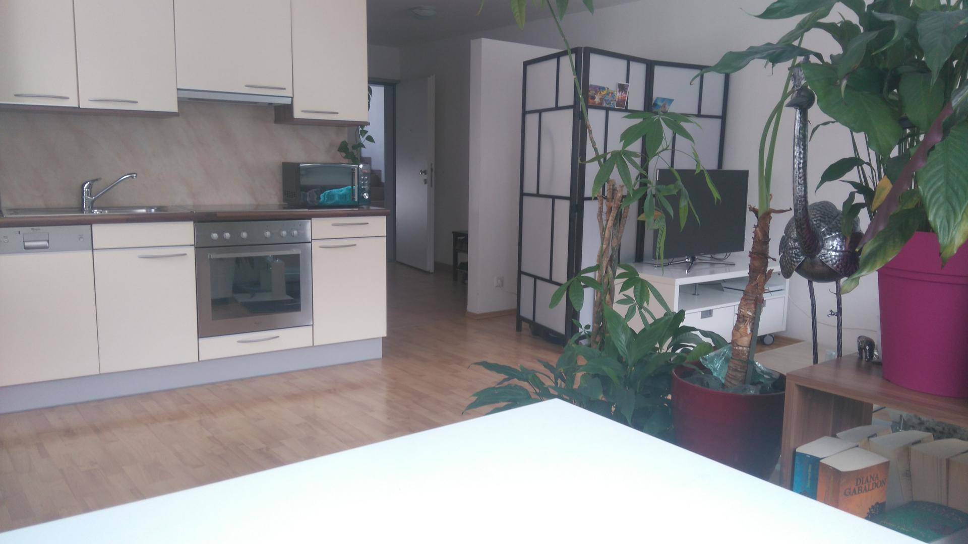 Integrierte Küche mit hellen Schränken und Blick auf den Wohnbereich mit Fernseher.