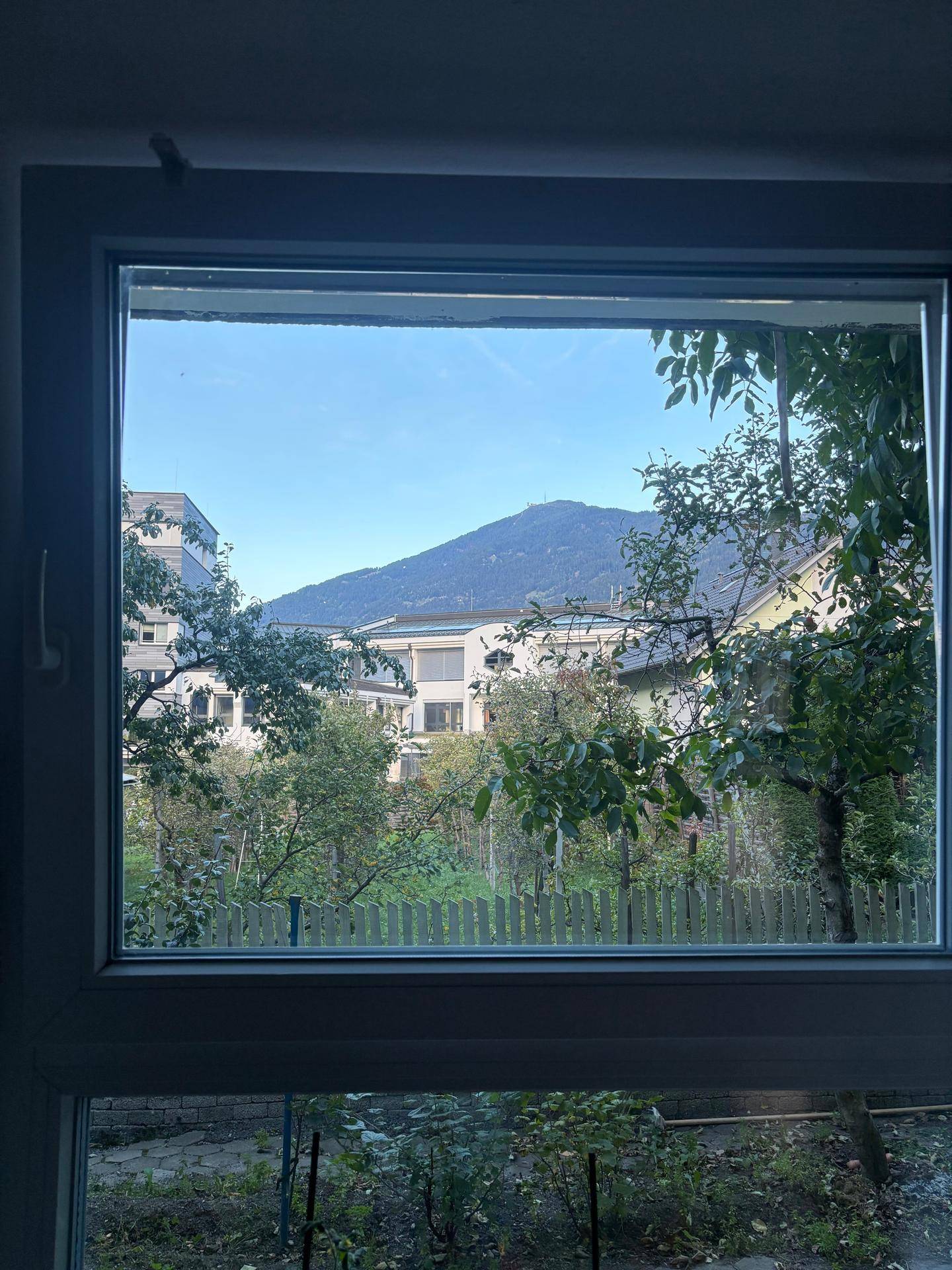 Ausblick aus dem Fenster auf einen Berg, Bäume und umliegende Gebäude.