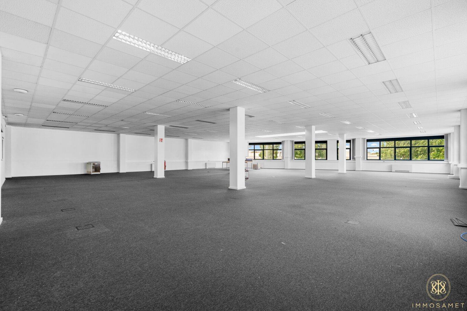 Geräumiges, unmöbliertes Büro mit Teppichboden und vielen Fenstern, ideal für flexible Nutzung und Raumkonzepte.