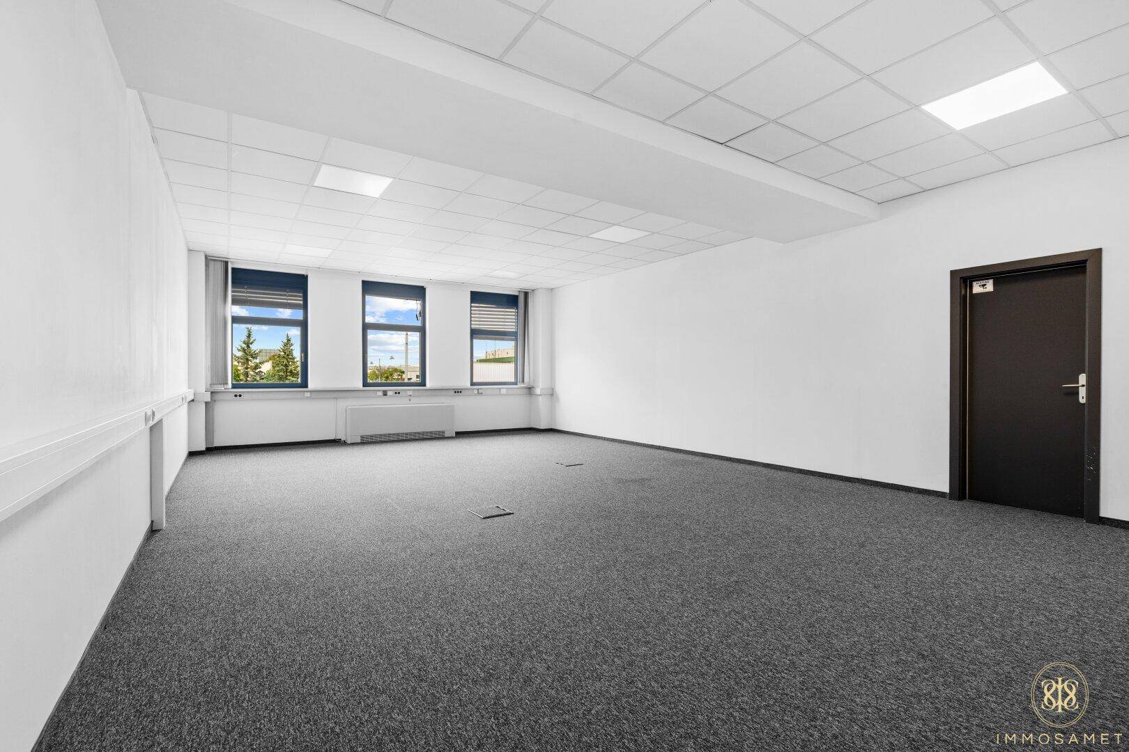 Heller Büroraum mit Teppichboden, Fenstern und einer dunklen Tür, ideal für ein Einzelbüro.