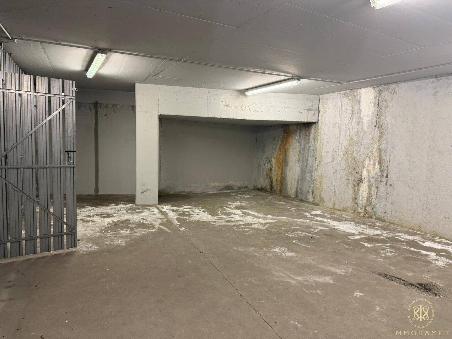 Kellerraum mit Betonwänden und einer robusten Metalltür, ideal als Lagerfläche nutzbar und einfach beleuchtet.