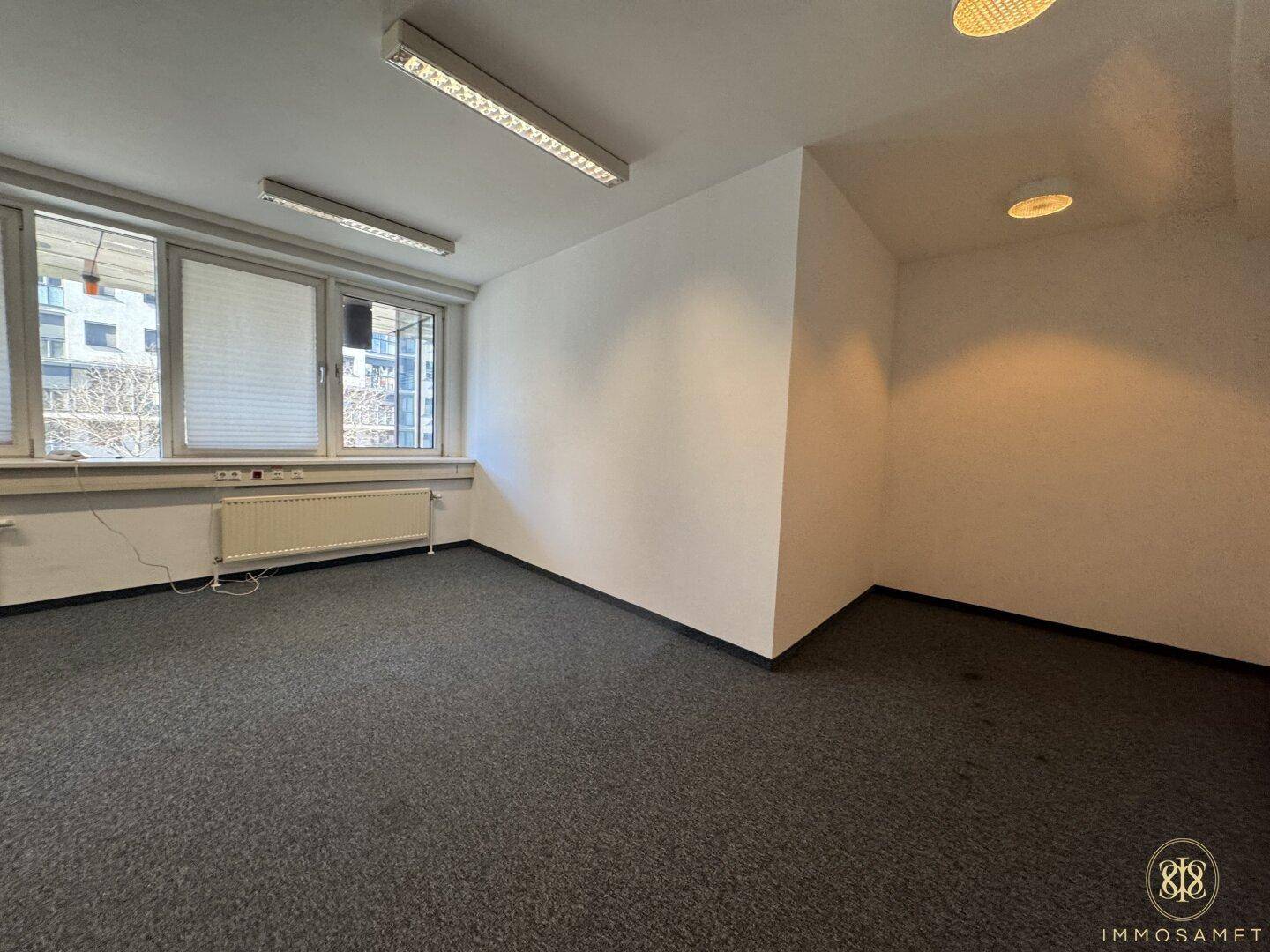 Helles, leeres Büro mit grauem Teppichboden und mehreren Fenstern, die viel Tageslicht hereinlassen.