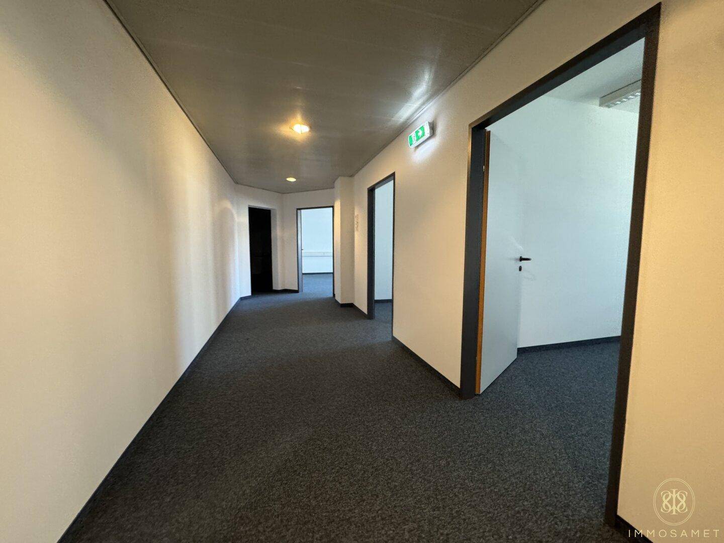 Langer, sauberer Flur mit Teppichboden und mehreren Türen, der zu den Büros führt.